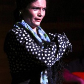Aloma de Balma