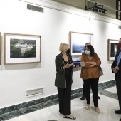 Sala San Miguel, exposiciones