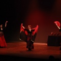 Castellón, Magadalena 2011