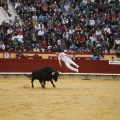 Castellón, Magdalena 2011