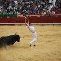 Castellón, Magdalena 2011