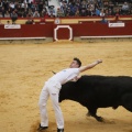 Castellón, Magdalena 2011