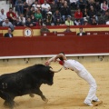 Castellón, Magdalena 2011