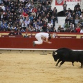 Castellón, Magdalena 2011