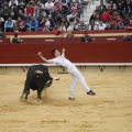 Castellón, Magdalena 2011