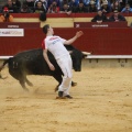 Castellón, Magdalena 2011