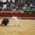 Castellón, Magdalena 2011