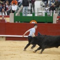Castellón, Magdalena 2011
