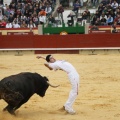 Castellón, Magdalena 2011