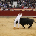 Castellón, Magdalena 2011