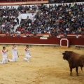 Castellón, Magdalena 2011