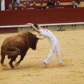 Castellón, Magdalena 2011