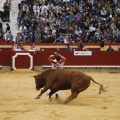 Castellón, Magdalena 2011