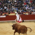 Castellón, Magdalena 2011