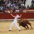 Castellón, Magdalena 2011
