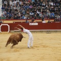 Castellón, Magdalena 2011