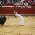 Castellón, Magdalena 2011