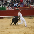 Castellón, Magdalena 2011