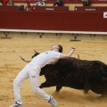 Castellón, Magdalena 2011