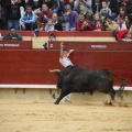 Castellón, Magdalena 2011