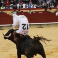 Castellón, Magdalena 2011