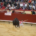 Castellón, Magdalena 2011