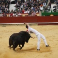 Castellón, Magdalena 2011