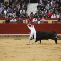 Castellón, Magdalena 2011