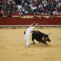 Castellón, Magdalena 2011