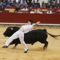 Castellón, Magdalena 2011