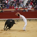 Castellón, Magdalena 2011