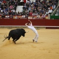 Castellón, Magdalena 2011