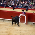 Magdalena 2011. Corrida de rejones