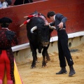 Magdalena 2011. Corrida de rejones