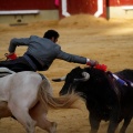 Magdalena 2011. Corrida de rejones