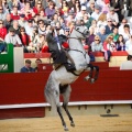 Magdalena 2011. Corrida de rejones