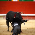 Magdalena 2011. Corrida de rejones