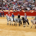 Magdalena 2011. Corrida de rejones