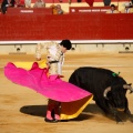 Magdalena 2011, novillada