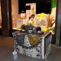 Magdalena 2011. Los Mudaos