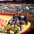 Magdalena 2011. Los Mudaos