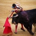 Castellón, Magdalena 2011