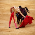 Castellón, Magdalena 2011