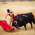 Castellón, Magdalena 2011
