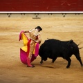Castellón, Magdalena 2011