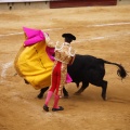 Castellón, Magdalena 2011