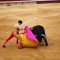 Castellón, Magdalena 2011