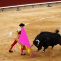 Castellón, Magdalena 2011