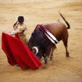Castellón, Magdalena 2011