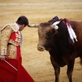 Castellón, Magdalena 2011